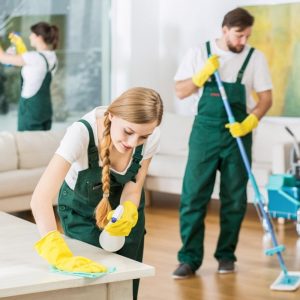 Home Cleaning - Platinum